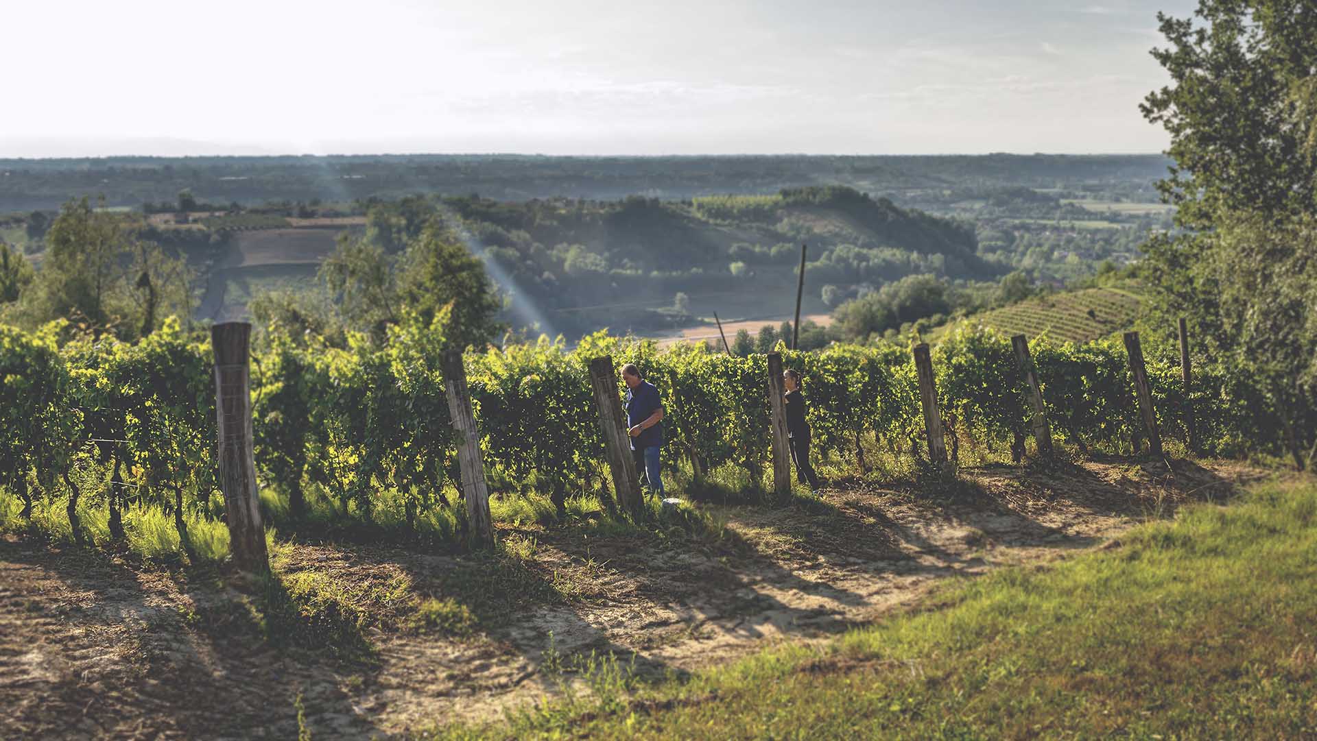 vacanza-langhe-min