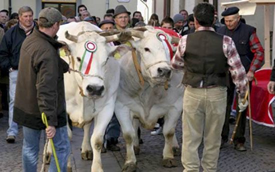 Fiera a Carrù