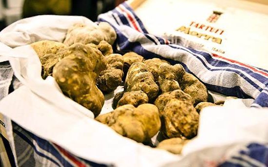 Fiera del Tartufo